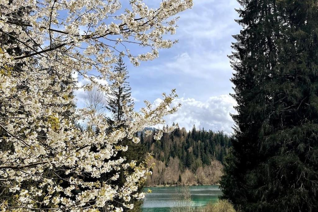 Wohnung Mit Fantastischer Aussicht Trin Luaran gambar